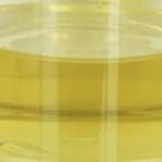 オイルの潤滑油の修飾語の安定装置のPentaerythritylのOleate PETOの液体CAS 19321-40-5