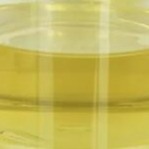 オイルの潤滑油の修飾語の安定装置のPentaerythritylのOleate PETOの液体CAS 19321-40-5